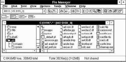   Microsoft Windows for 